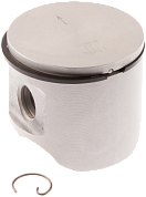 Поршень 48 мм 365 2165 